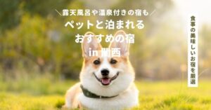 ペットと泊まれる宿で食事が美味しいところ【関西】おすすめ宿