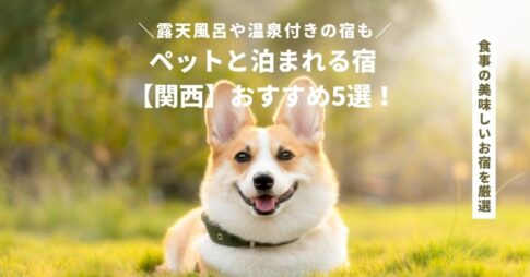 ペットと泊まれる宿で食事が美味しいところ【関西】おすすめ5選！