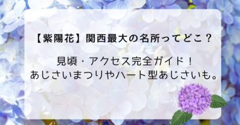 【紫陽花】関西最大の名所ってどこ？ 見頃・アクセス完全ガイド！ あじさいまつりやハート型あじさいも。