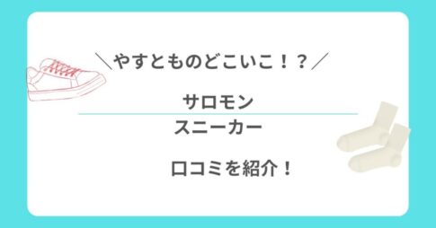 やすとものどこいこ！？サロモンスニーカーの口コミ紹介