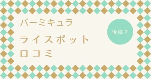 バーミキュラライスポットは後悔する？お手入れはめんどくさい？保温など口コミを調査！