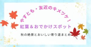 やすとも・友近のキメツケ！で話題の紅葉＆おでかけスポット｜秋の絶景とおいしい寄り道まとめ