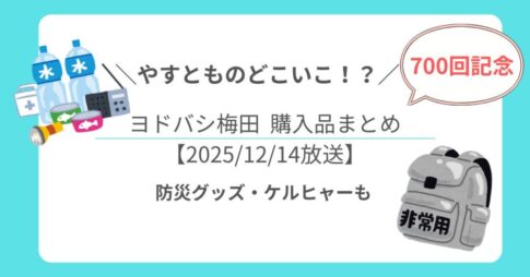 【やすとものどこいこ⁉︎】700回記念はヨドバシ梅田で防災グッズチェック